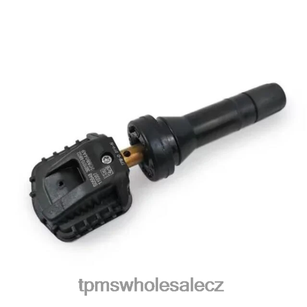 TPMS Sensor CZ - tpms mění snímač tlaku 3601010bk01 433mhz DDHLR41742